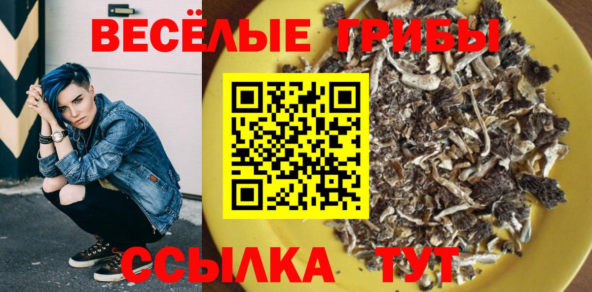 Галлюциногенные грибы GOLDEN TEACHER  Вход с VPN  Печора 