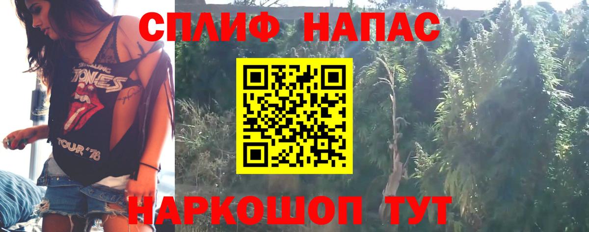 Конопля MAZAR Печора